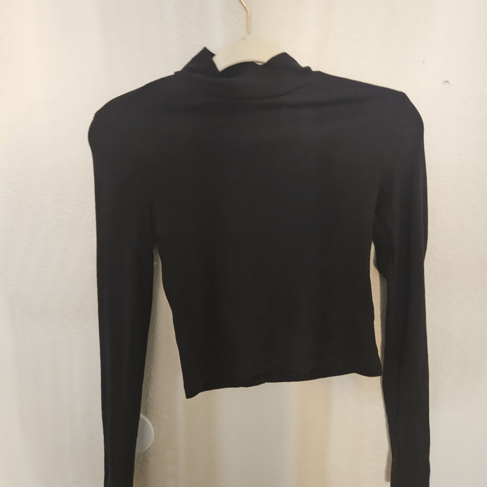 American Eagle Outfitters Black Fitted Crop Blouse